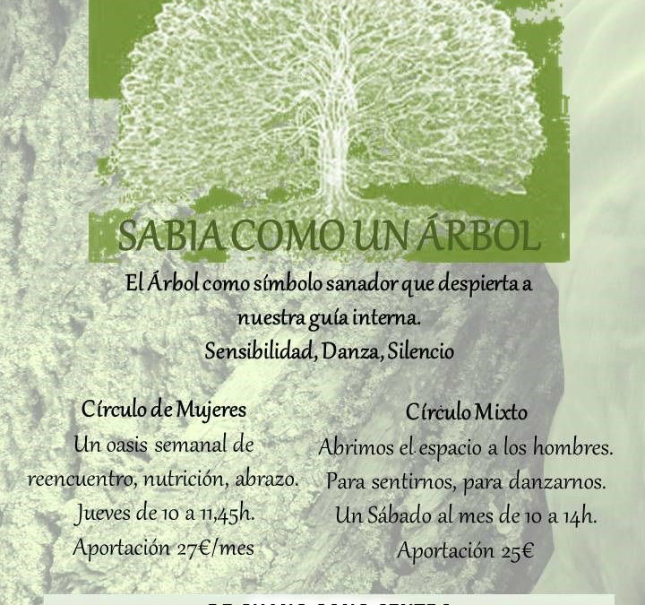 SAVIA COMO UN ÁRBOL, CÍRCULO MIXTO