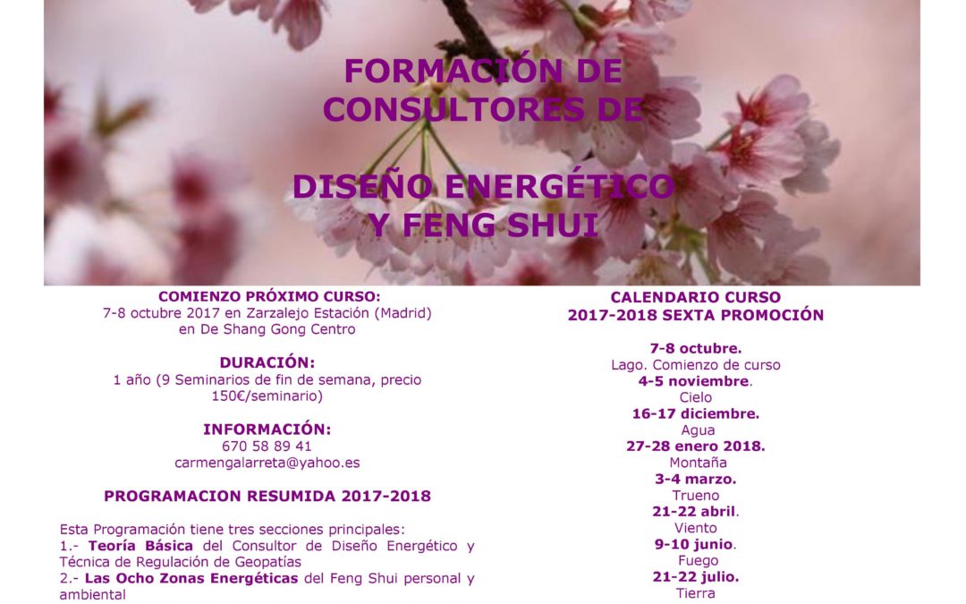 FORMACIÓN DE CONSULTORES DE DISEÑO ENERGÉTICO Y FENG SHUI